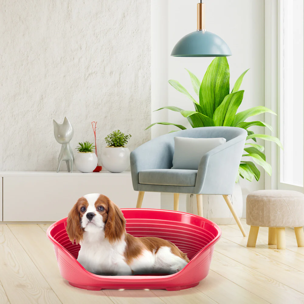 Product image 67
