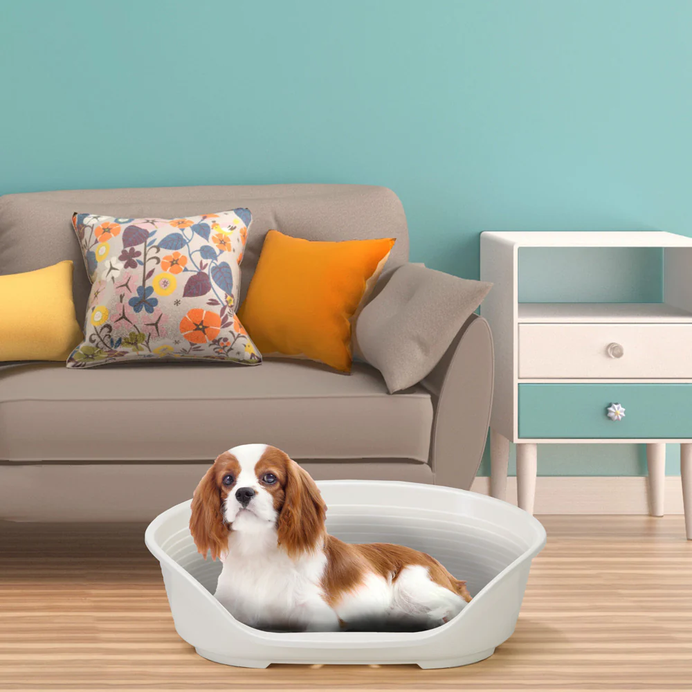 Product image 77